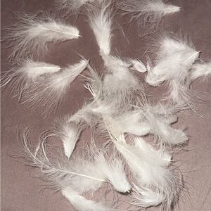 Othr White Feather Hair Accessories